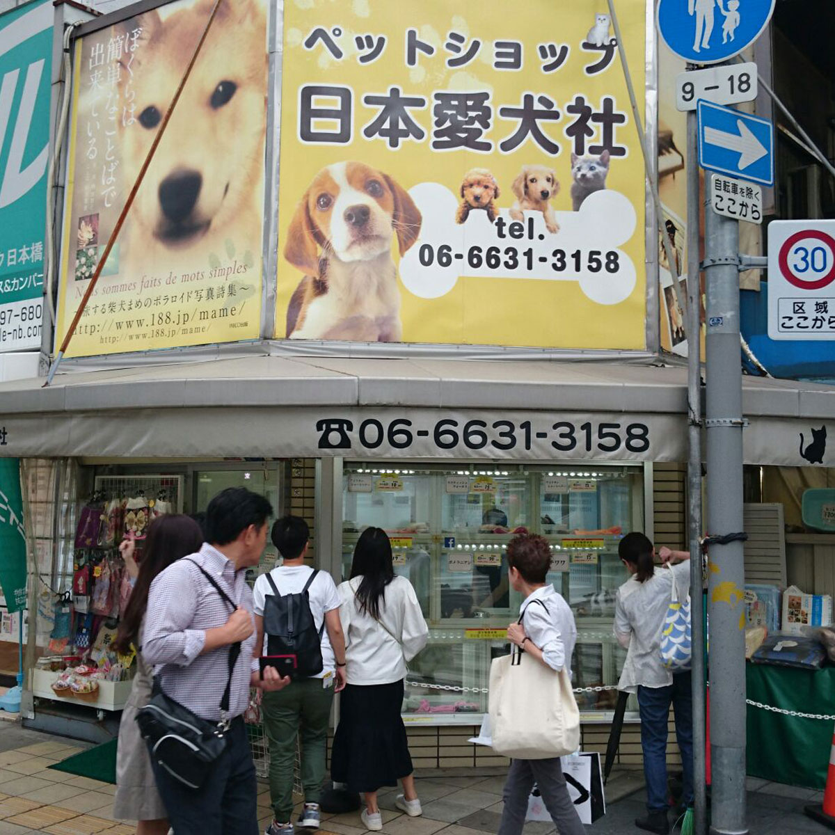 日本橋 - ペットショップ日本愛犬社