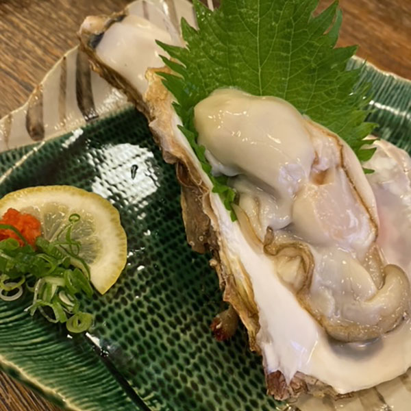 奈良 - 居酒屋 四季