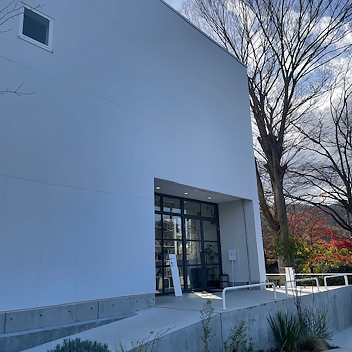 奈良 - a bread of fresh air